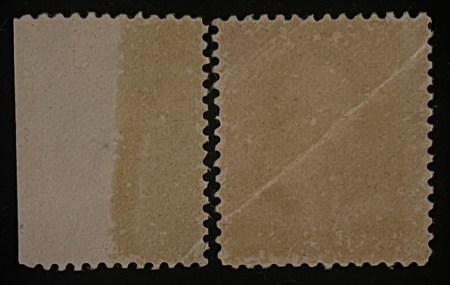 Postage SCOTT #210 2c RED-BROWN & DETATCHED SELVAGE, MOG-NH, NATURAL GUM CREASE-CAT $135