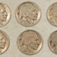Buffalo Nickels 1913-D TY, 1915-D, 1919-S BUFFALO NICKELS, LOT OF 3 – CULLS