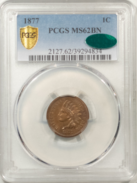 Indian KEY-DATE 1877 INDIAN CENT, PCGS MS-62 BN CAC; PQ, CHOICE & LOOKS MS-64!