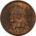 Indian 1900 INDIAN CENT – REALLY PRETTY BRILLIANT UNCIRCULATED! BUT QUESTIONABLE COLOR
