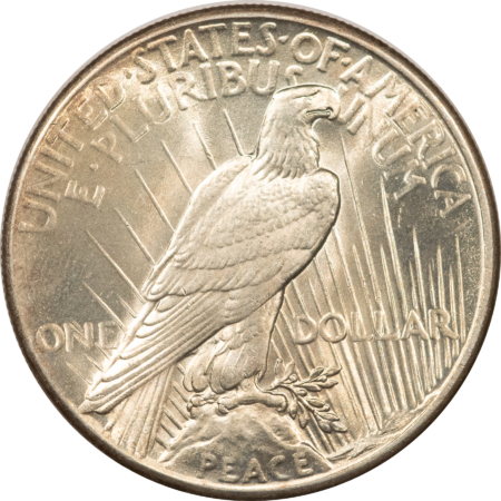 New Store Items 1925 $1 PEACE DOLLAR – CHOICE UNCIRCULATED!