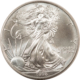 Bullion 2004 $1 AMERICAN SILVER EAGLE, 1 OZ .999 – UNCIRCULATED SUPERB GEM!