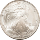 Bullion 2007-W $1 AMERICAN SILVER EAGLE, 1 OZ .999 – GEM PROOF, NO BOX OR COA!
