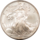 Bullion 2007-W $1 AMERICAN SILVER EAGLE, 1 OZ .999 – GEM PROOF, NO BOX OR COA!