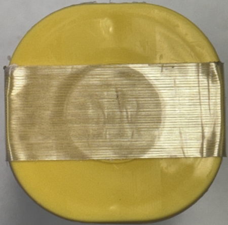Bullion 2021 $5 CANADA .9999 SILVER MAPLE LEAF ORIGINAL 25 COIN ROLL, W/ MAPLE PRIVY GEM