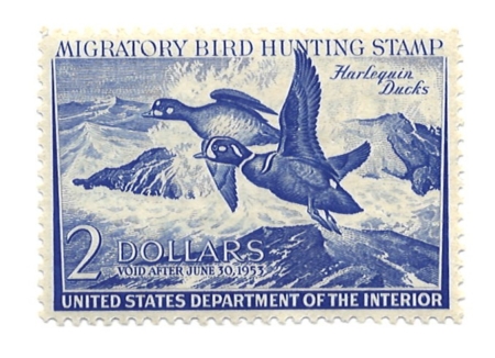 New Store Items SCOTT #RW-19, $2 DEEP ULTRAMARINE, VOID AFTER JUNE  30, 1953, MOG VVLH, CAT $90