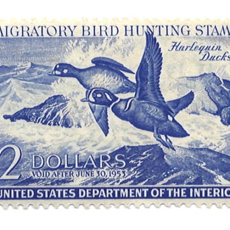 New Store Items SCOTT #RW-19, $2 DEEP ULTRAMARINE, VOID AFTER JUNE  30, 1953, MOG VVLH, CAT $90