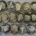 Bullion 20 OZ TUBE OF 1 OZ .999 FINE SILVER MIXED MORGAN HEAD STYLE SILVER ROUNDS, UNC
