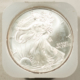 American Silver Eagles 2004 $1 AMERICAN SILVER EAGLES ROLL OF 20, 1 OZ .999 – GEM BU IN ORIGINAL TUBE!