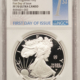 American Silver Eagles 2025-W PR AMERICAN SILVER EAGLE LASER ENGRAVED PRIVY NGC PF69 UCAM FIRST DAY ANA