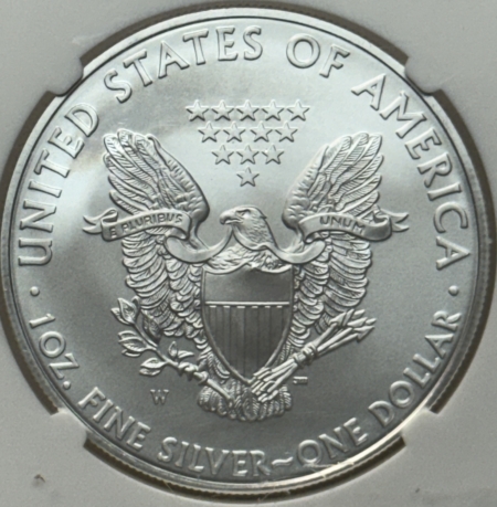 American Silver Eagles 2008-W $1 BURNISHED AMERICAN SILVER EAGLE, 1 OZ .999 – NGC MS-69