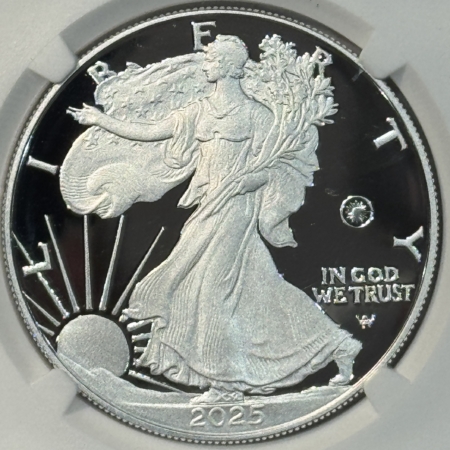 American Silver Eagles 2025-W PR AMERICAN SILVER EAGLE LASER ENGRAVED PRIVY NGC PF69 UCAM FIRST DAY ANA
