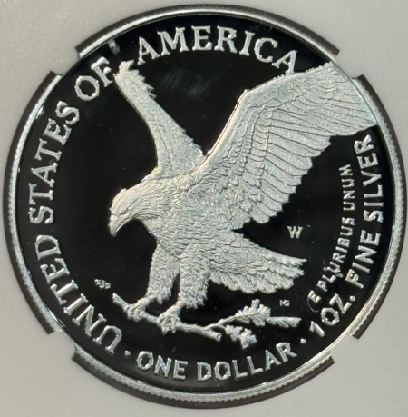 American Silver Eagles 2025-W PR AMERICAN SILVER EAGLE LASER ENGRAVED PRIVY NGC PF69 UCAM FIRST DAY ANA