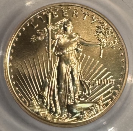 American Gold Eagles, Buffaloes, & Liberty Series 2006-W BURNISHED AMERICAN GOLD EAGLE 4 COIN SET 1/10OZ-1OZ PCGS MS70 MULTIHOLDER