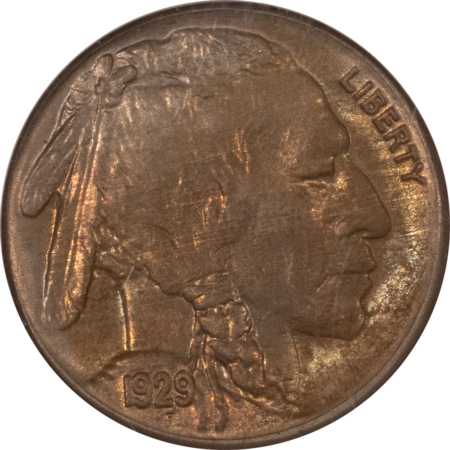 Buffalo Nickels 1929-S BUFFALO NICKEL – NGC MS-64