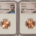 Lincoln Cents (Memorial) 2022 & 2022-D SHIELD LINCOLN CENT LOT OF 2 COINS – NGC MS-67 RD, LINCOLN LABEL