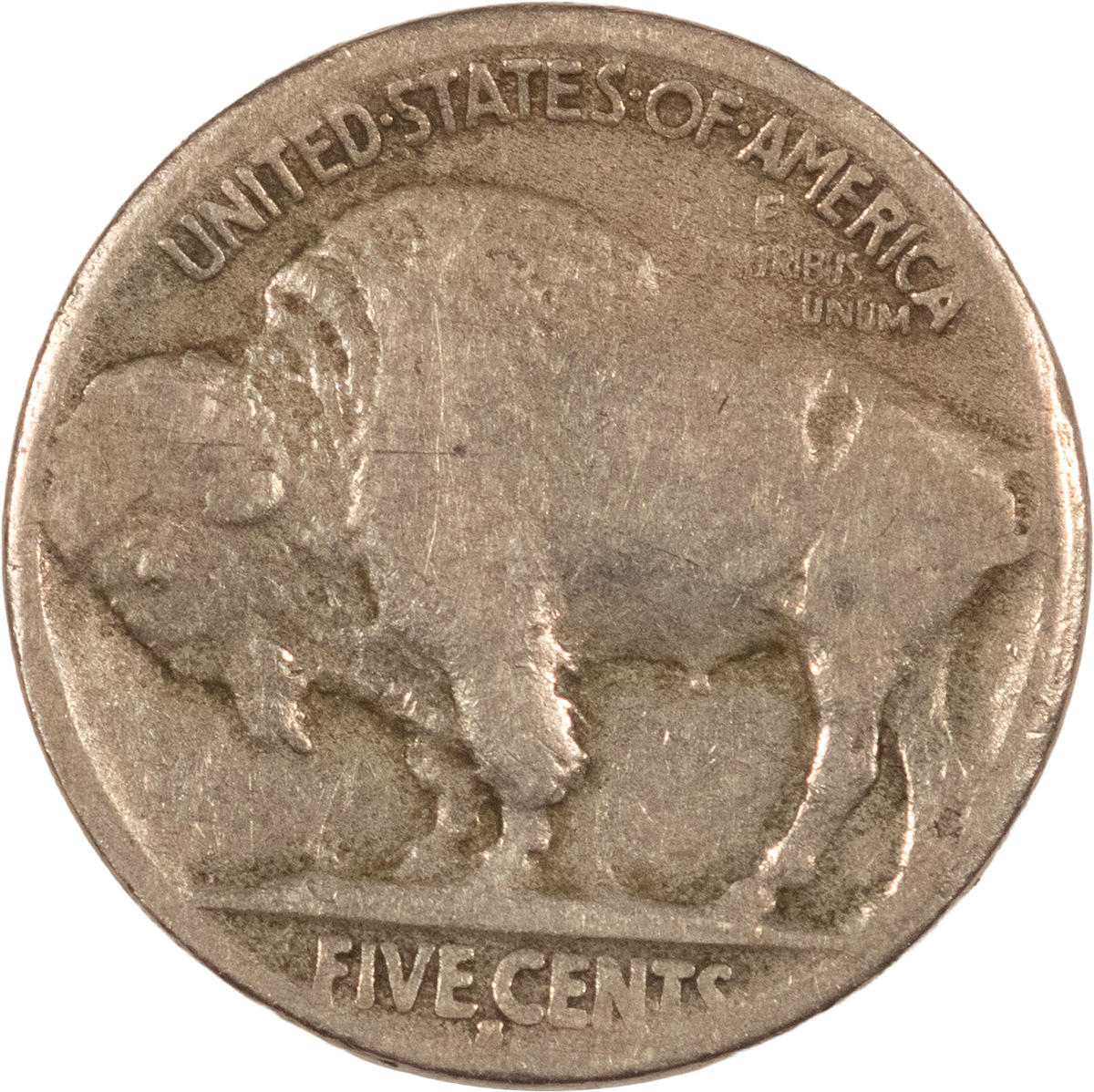 Buffalo Nickels 1917-S BUFFALO NICKEL – NICE! FINE HALF HORN! Buffalo Nickels 1917-S BUFFALO NICKEL – NICE! FINE HALF HORN!
