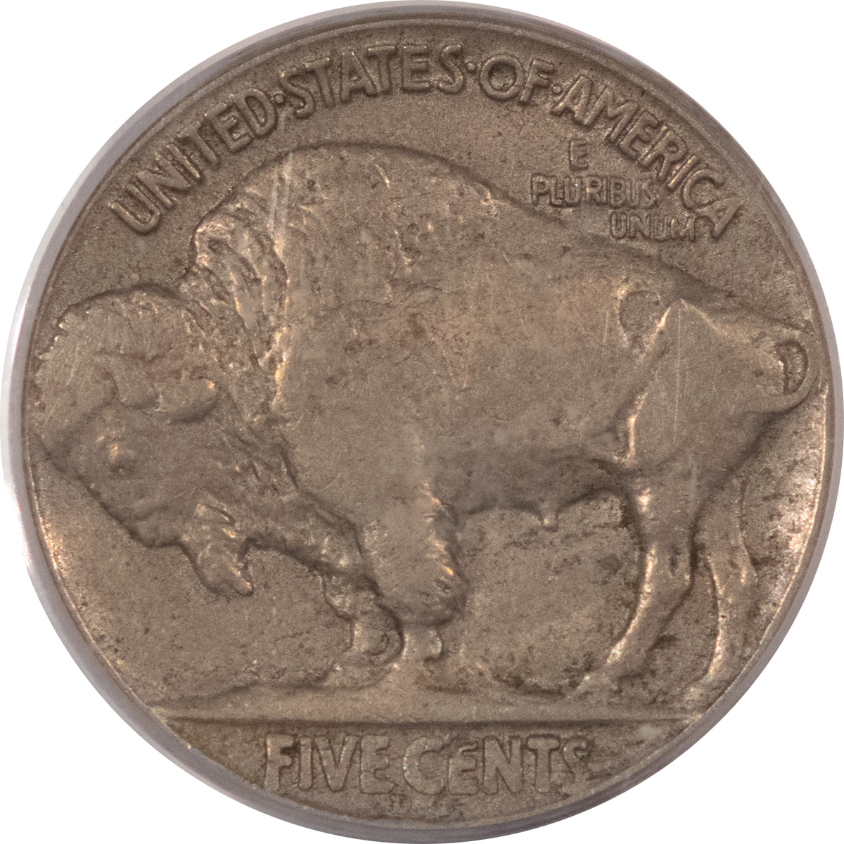 Buffalo Nickels 1919-D BUFFALO NICKEL – PCGS VF-30 Buffalo Nickels 1919-D BUFFALO NICKEL – PCGS VF-30