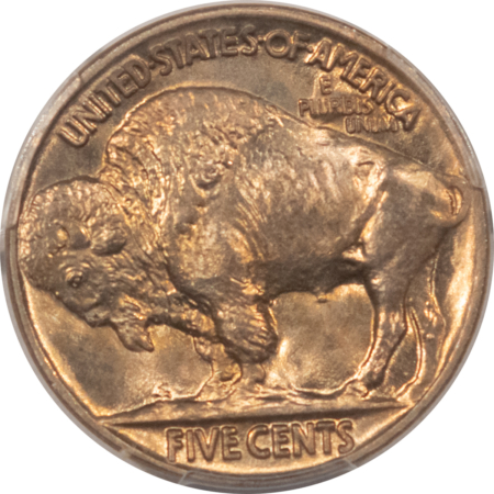 Buffalo Nickels 1923 BUFFALO NICKEL – PCGS MS-64, LOOKS FULL GEM! PREMIUM QUALITY!