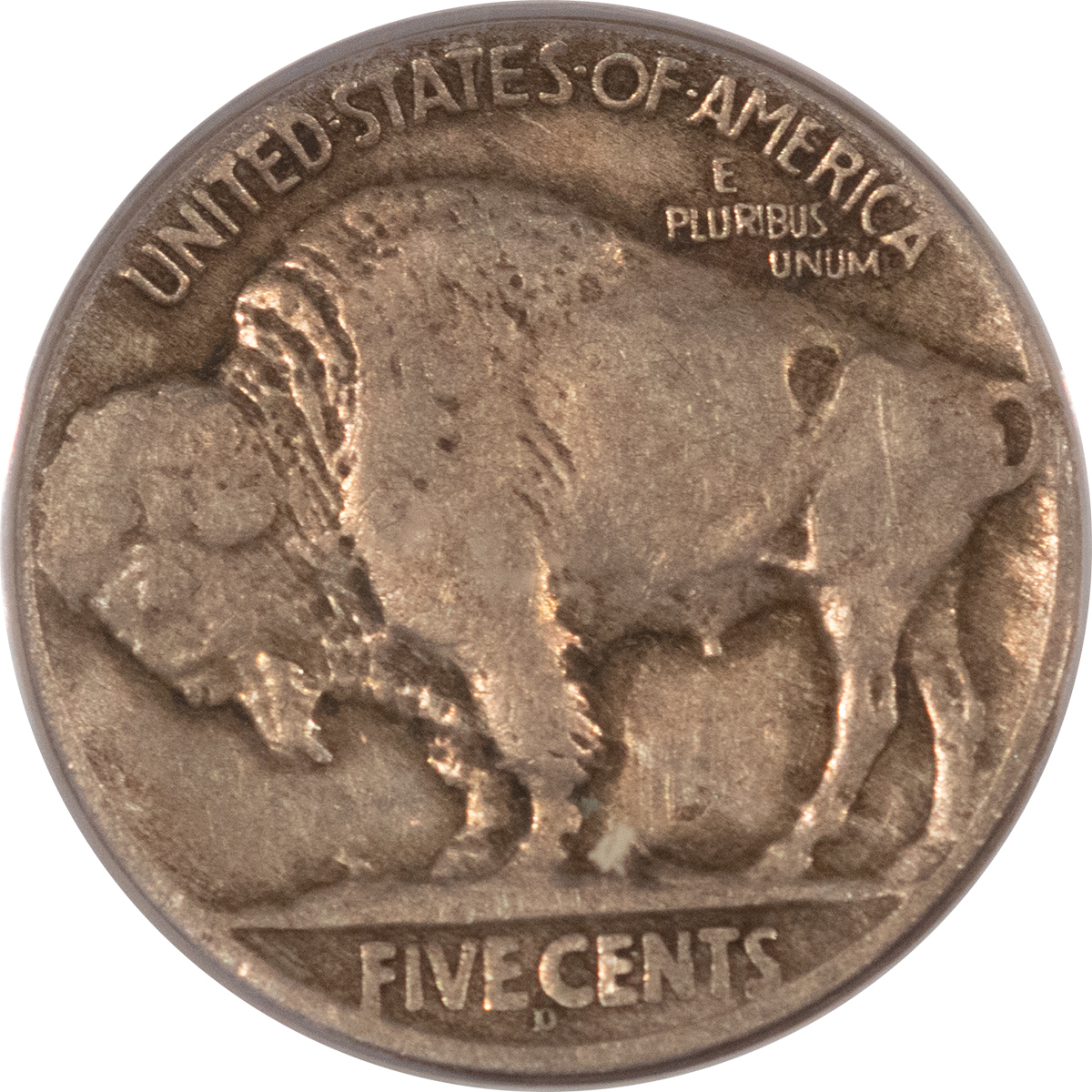 Buffalo Nickels 1926-D BUFFALO NICKEL – PCGS VF-25 Buffalo Nickels 1926-D BUFFALO NICKEL – PCGS VF-25