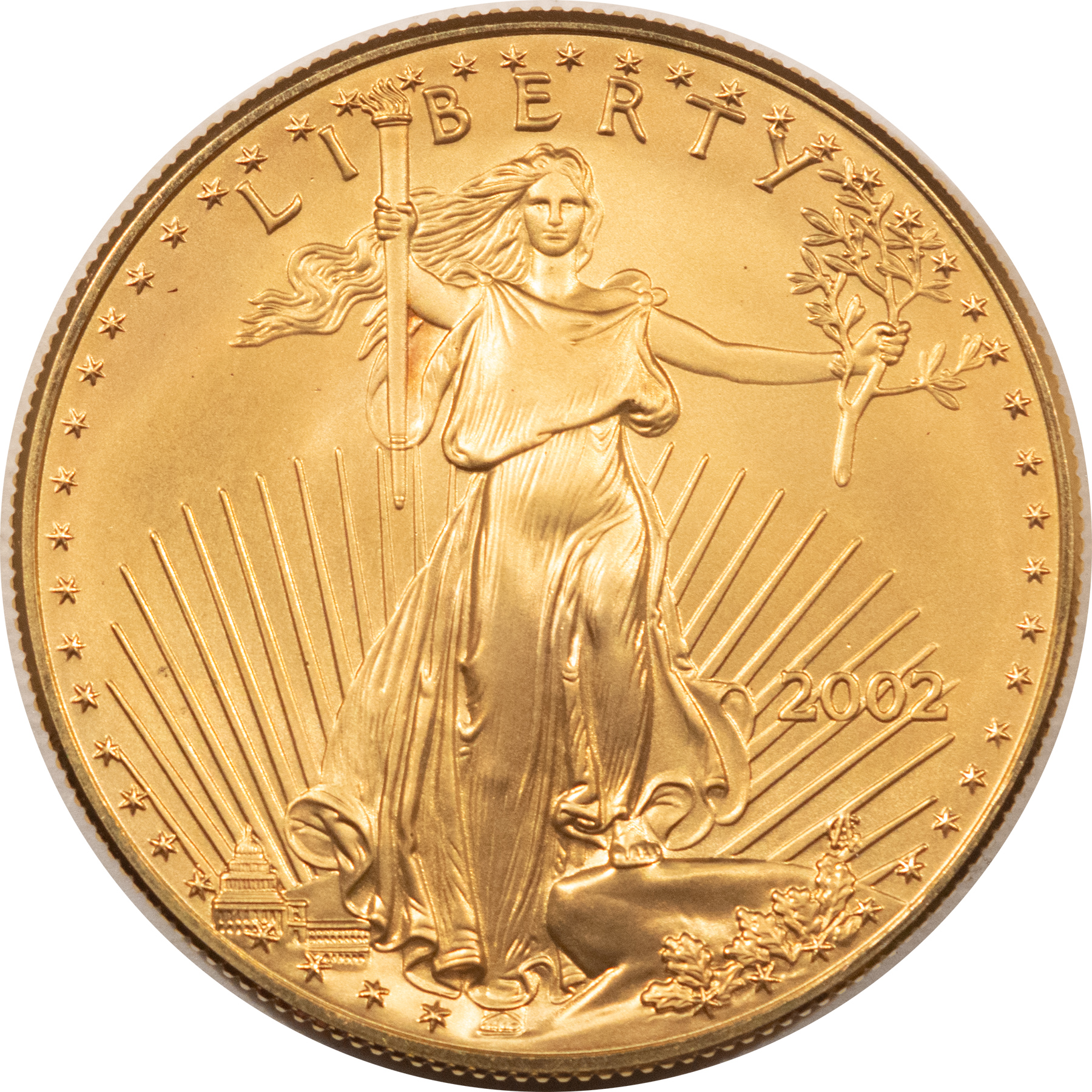 American Gold Eagles, Buffaloes, & Liberty Series 2002 1 OZ $50 AMERICAN GOLD EAGLE, GEM BRILLIANT UNCIRCULATED American Gold Eagles, Buffaloes, & Liberty Series 2002 1 OZ $50 AMERICAN GOLD EAGLE, GEM BRILLIANT UNCIRCULATED