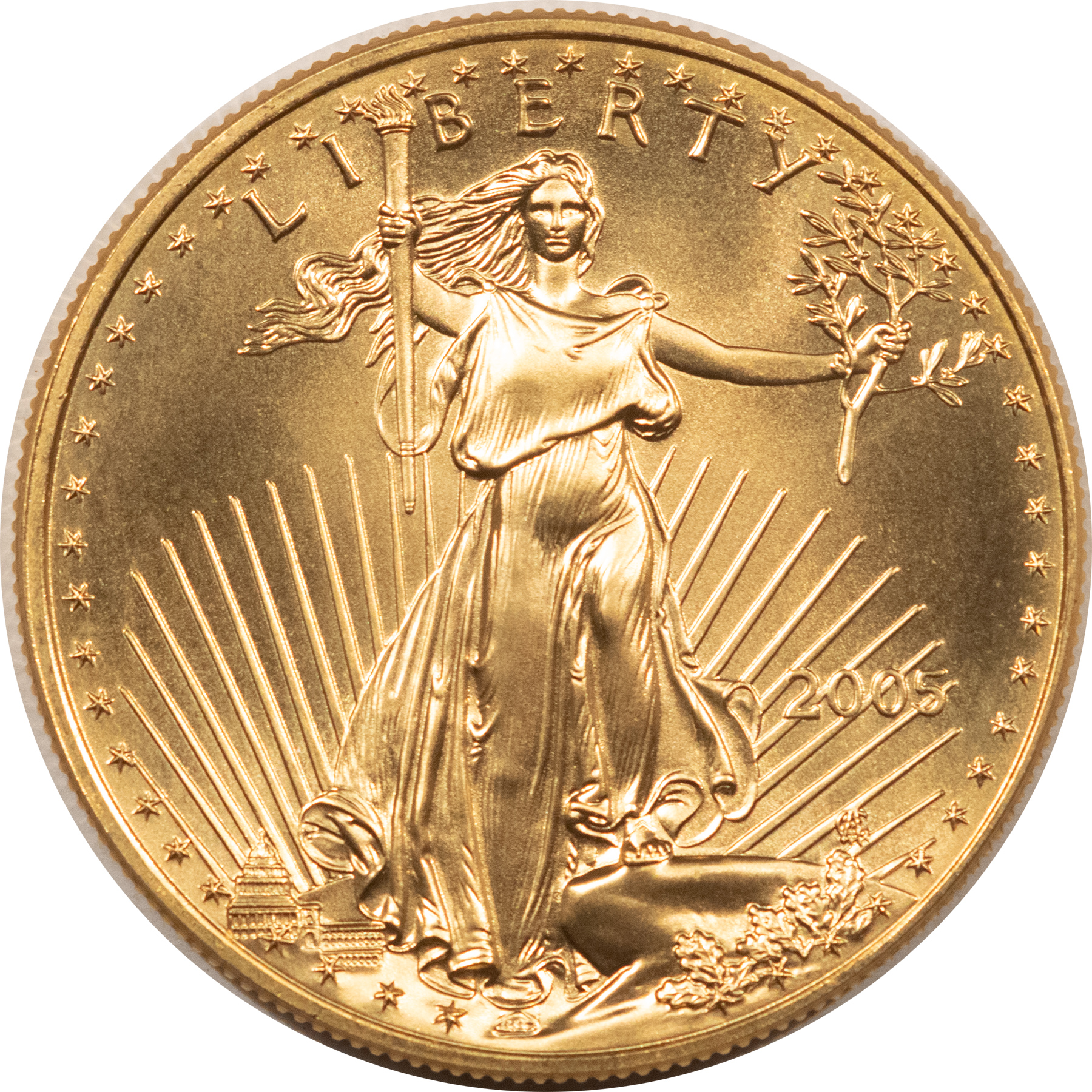 American Gold Eagles, Buffaloes, & Liberty Series 2005 1 OZ $50 AMERICAN GOLD EAGLE, GEM BRILLIANT UNCIRCULATED American Gold Eagles, Buffaloes, & Liberty Series 2005 1 OZ $50 AMERICAN GOLD EAGLE, GEM BRILLIANT UNCIRCULATED