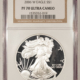 American Silver Eagles 2006-W $1 AMERICAN SILVER EAGLE, 1 OZ .999 – NGC MS-69
