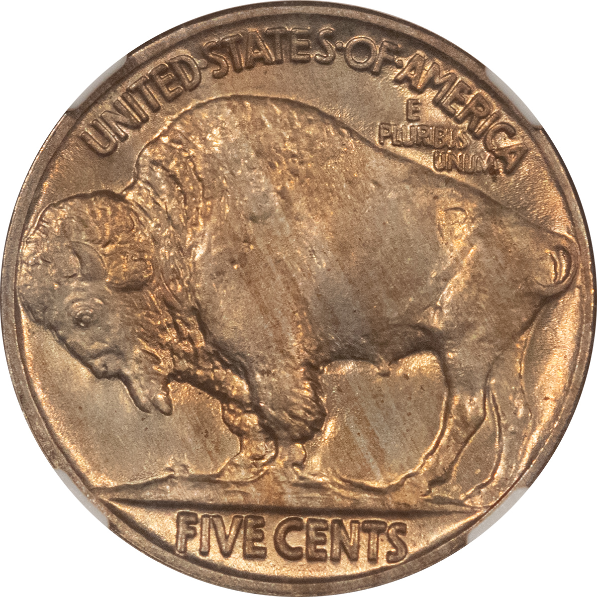 Buffalo Nickels 1916 BUFFALO NICKEL – NGC MS-64, FRESH & PREMIUM QUALITY! Buffalo Nickels 1916 BUFFALO NICKEL – NGC MS-64, FRESH & PREMIUM QUALITY!