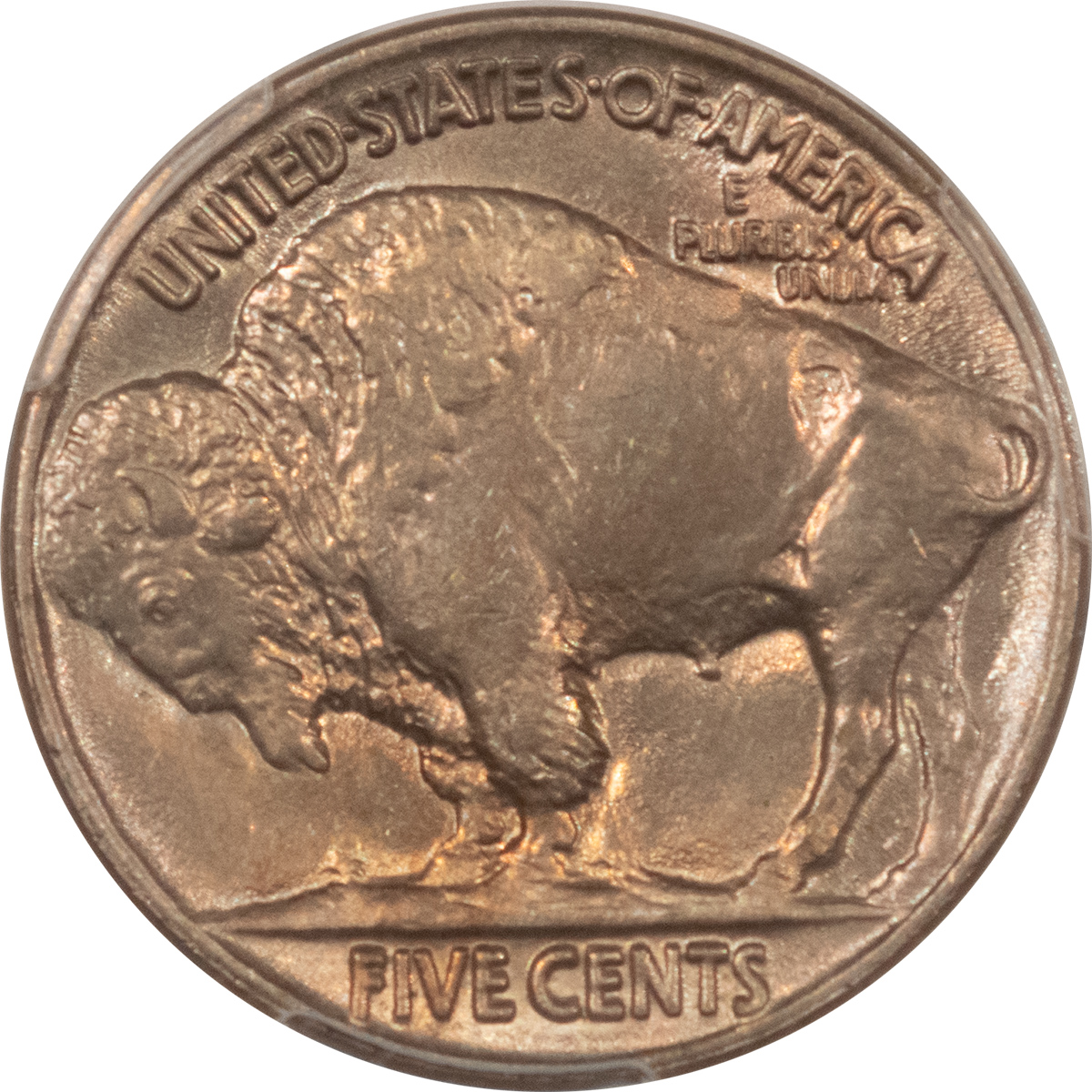 Buffalo Nickels 1917 BUFFALO NICKEL – PCGS MS-65, SPARKLING GEM! Buffalo Nickels 1917 BUFFALO NICKEL – PCGS MS-65, SPARKLING GEM!