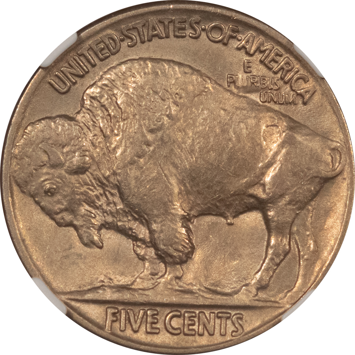 Buffalo Nickels 1923 BUFFALO NICKEL – NGC AU-58 Buffalo Nickels 1923 BUFFALO NICKEL – NGC AU-58
