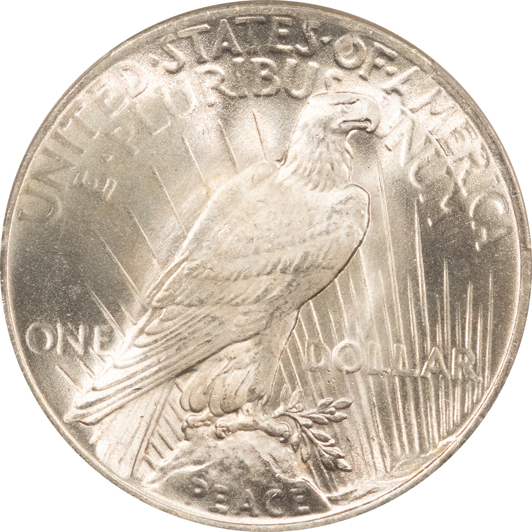 Dollars 1925 $1 PEACE DOLLAR – PCGS MS-65, WHITE GEM! Dollars 1925 $1 PEACE DOLLAR – PCGS MS-65, WHITE GEM!