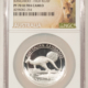 Bullion 2019P $1 AUSTRALIA KANGAROO 1 OZ .999 SILVER PROOF HIGH RELIEF – NGC PF-68 UCAM! Bullion 2019P $1 AUSTRALIA KANGAROO 1 OZ .999 SILVER PROOF HIGH RELIEF – NGC PF-68 UCAM!
