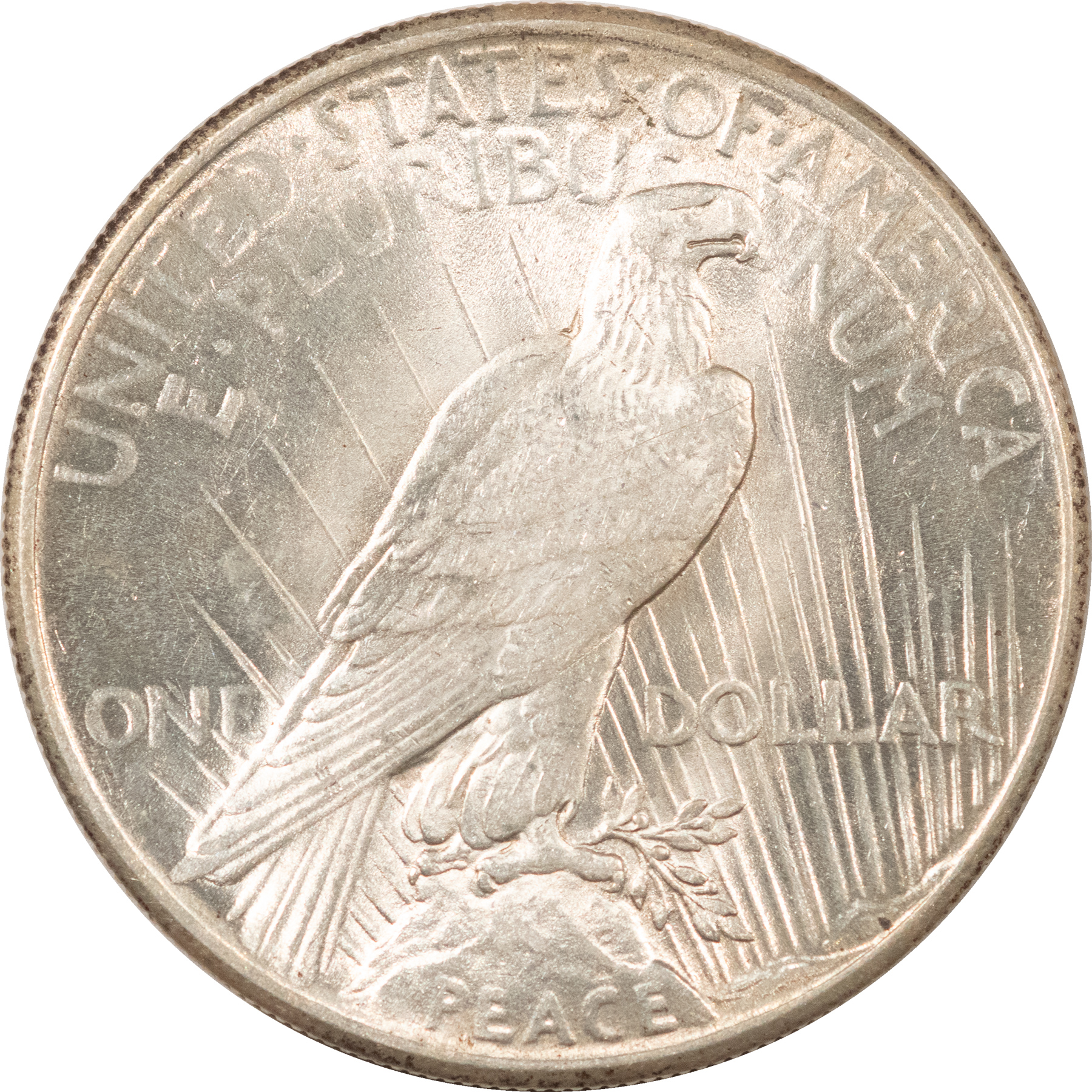 Dollars 1925 $1 PEACE DOLLAR – WHITE! HIGH GRADE, NEARLY UNCIRCULATED – LOOKS CHOICE! Dollars 1925 $1 PEACE DOLLAR – WHITE! HIGH GRADE, NEARLY UNCIRCULATED – LOOKS CHOICE!