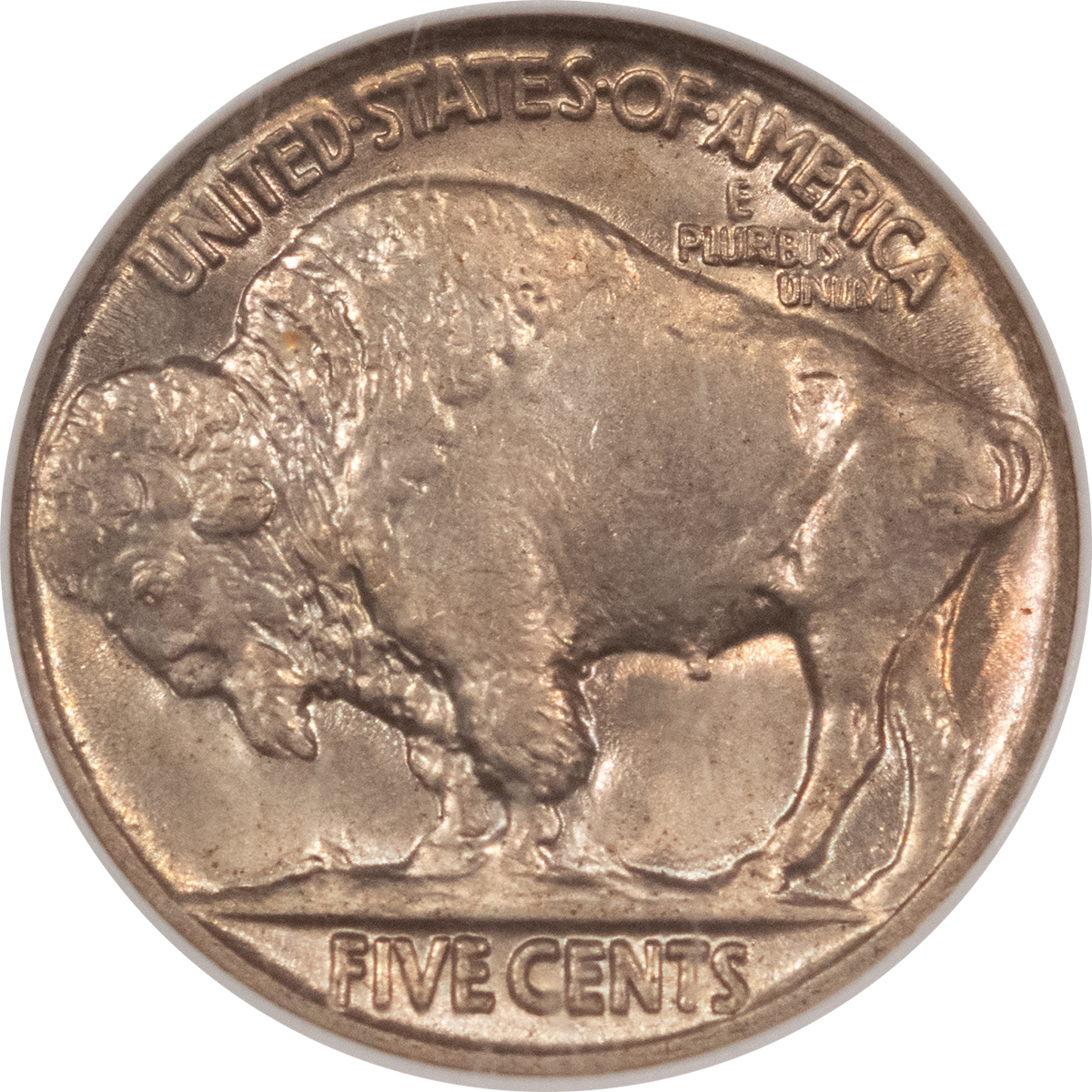 Buffalo Nickels 1916 BUFFALO NICKEL – NGC MS-65, FRESH GEM! Buffalo Nickels 1916 BUFFALO NICKEL – NGC MS-65, FRESH GEM!