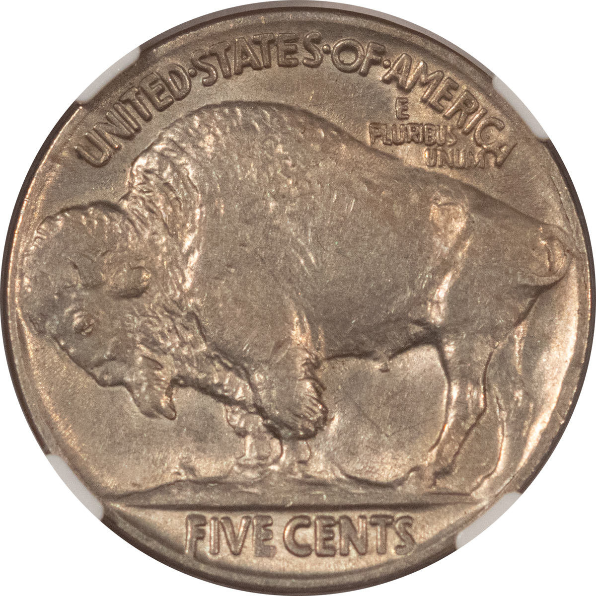 Buffalo Nickels 1919 BUFFALO NICKEL – NGC AU-58 Buffalo Nickels 1919 BUFFALO NICKEL – NGC AU-58