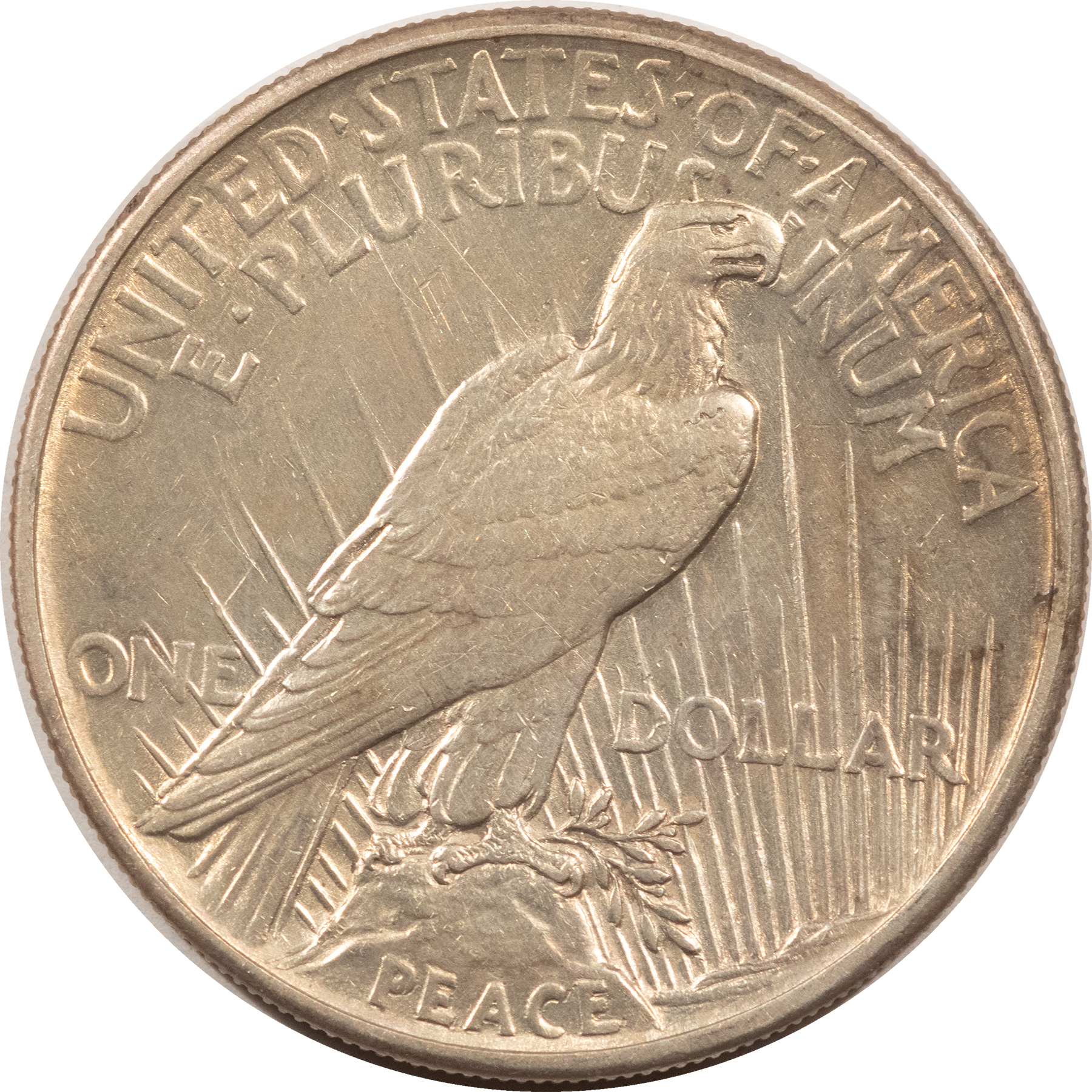 Dollars 1921 $1 PEACE DOLLAR – HIGH GRADE EXAMPLE! Dollars 1921 $1 PEACE DOLLAR – HIGH GRADE EXAMPLE!