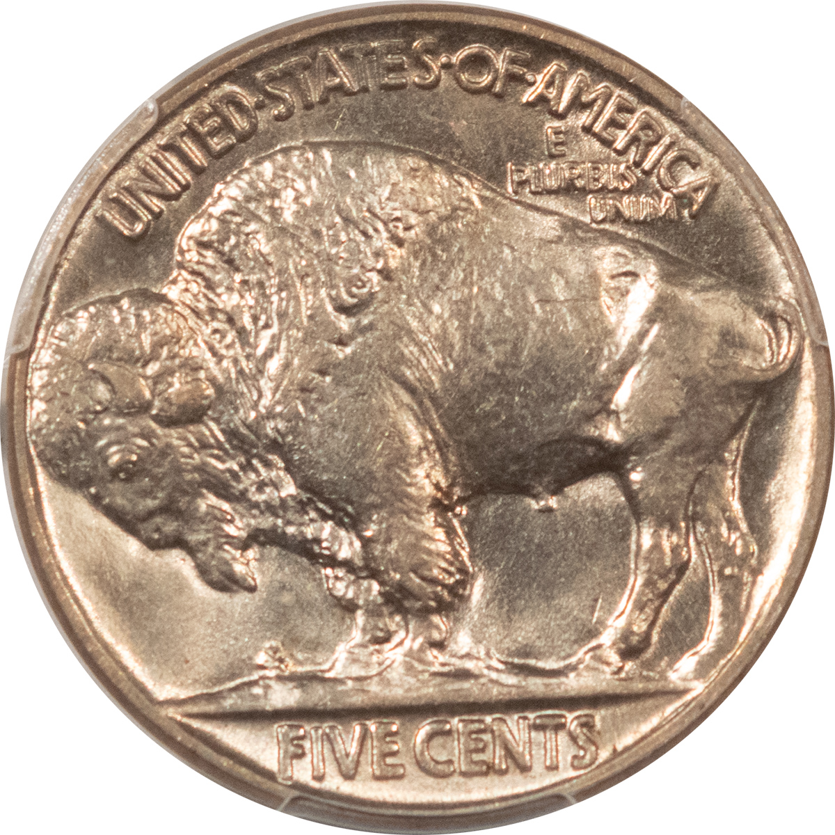 Buffalo Nickels 1921 BUFFALO NICKEL – PCGS MS-63, CHOICE! LUSTROUS! Buffalo Nickels 1921 BUFFALO NICKEL – PCGS MS-63, CHOICE! LUSTROUS!