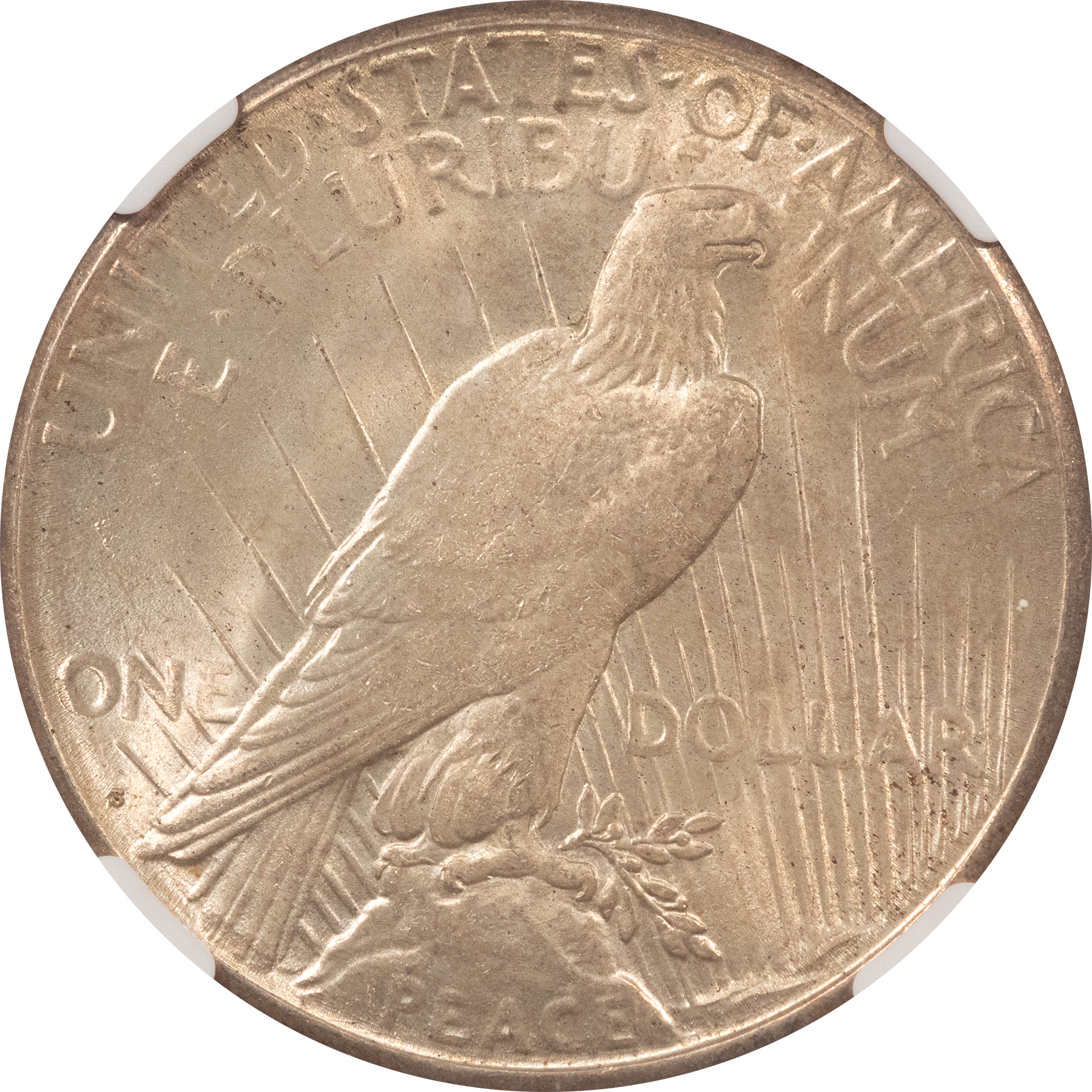 Dollars 1922-S $1 PEACE DOLLAR – NGC MS-64, FRESH & ORIGINAL! Dollars 1922-S $1 PEACE DOLLAR – NGC MS-64, FRESH & ORIGINAL!