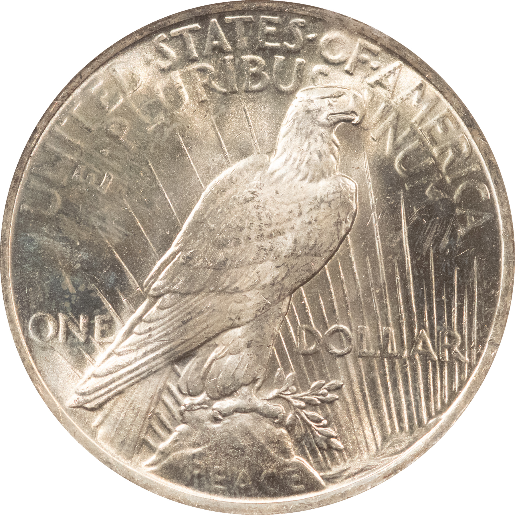 Dollars 1923 $1 PEACE DOLLAR – NGC MS-64, BLAST WHITE! Dollars 1923 $1 PEACE DOLLAR – NGC MS-64, BLAST WHITE!