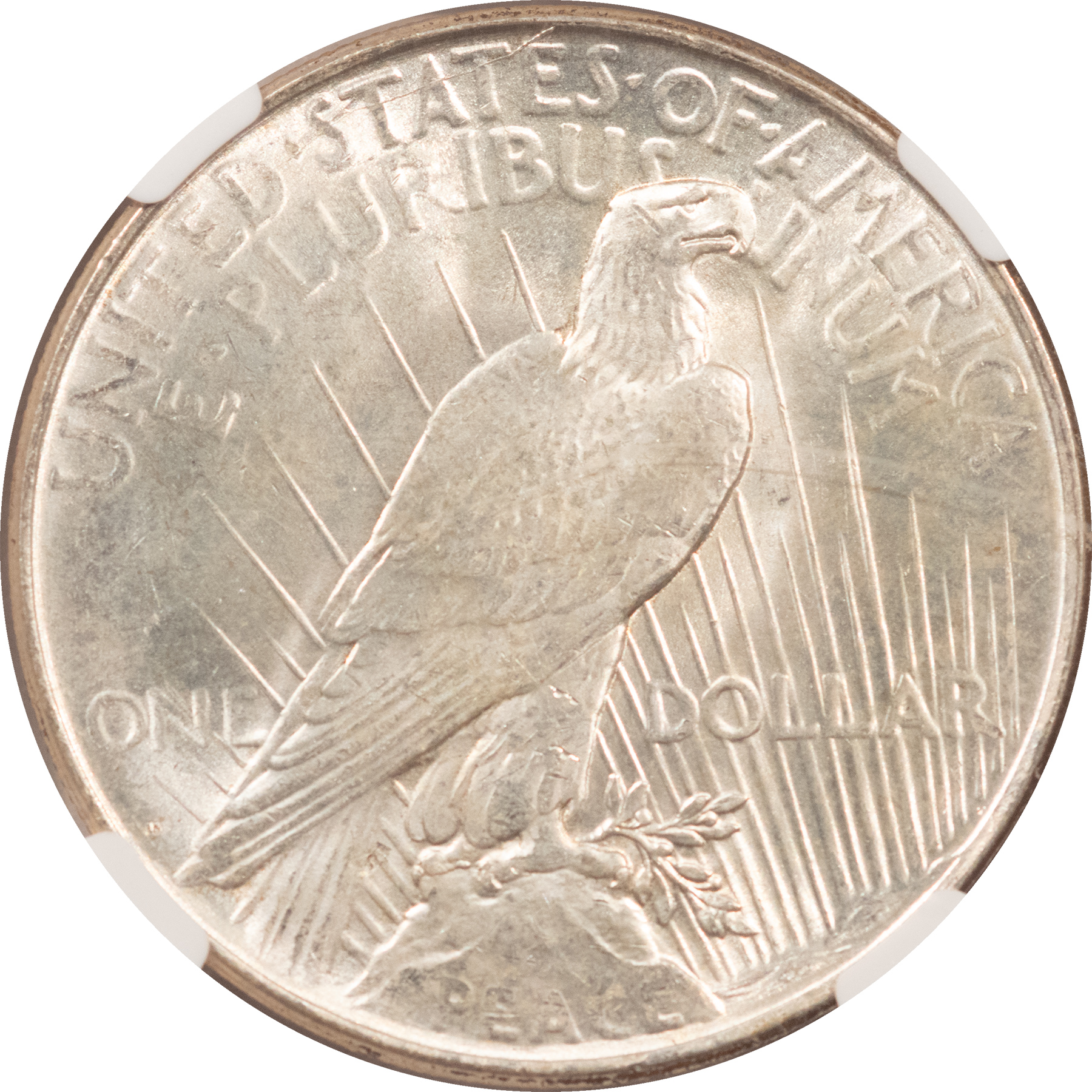 Dollars 1923-D $1 PEACE DOLLAR, VAM 1A, DIE GOUGE – NGC MS-63, CHOICE! Dollars 1923-D $1 PEACE DOLLAR, VAM 1A, DIE GOUGE – NGC MS-63, CHOICE!