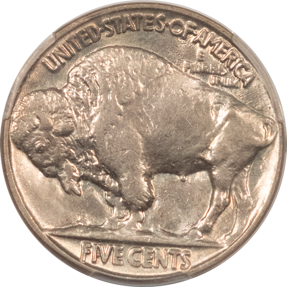 Buffalo Nickels 1924 BUFFALO NICKEL – PCGS MS-64, LUSTROUS! Buffalo Nickels 1924 BUFFALO NICKEL – PCGS MS-64, LUSTROUS!