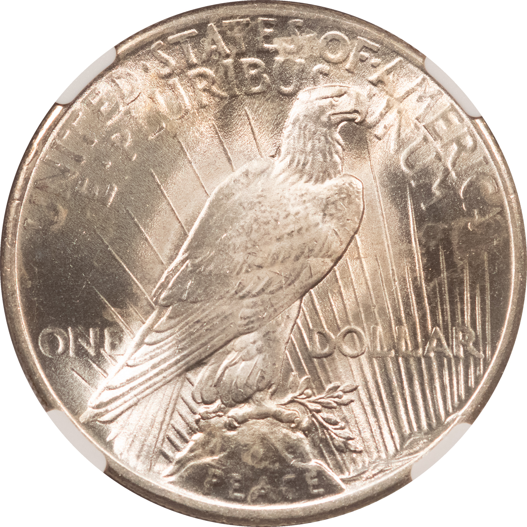 Dollars 1925 $1 PEACE DOLLAR – NGC MS-64, BLAST WHITE & PREMIUM QUALITY! Dollars 1925 $1 PEACE DOLLAR – NGC MS-64, BLAST WHITE & PREMIUM QUALITY!