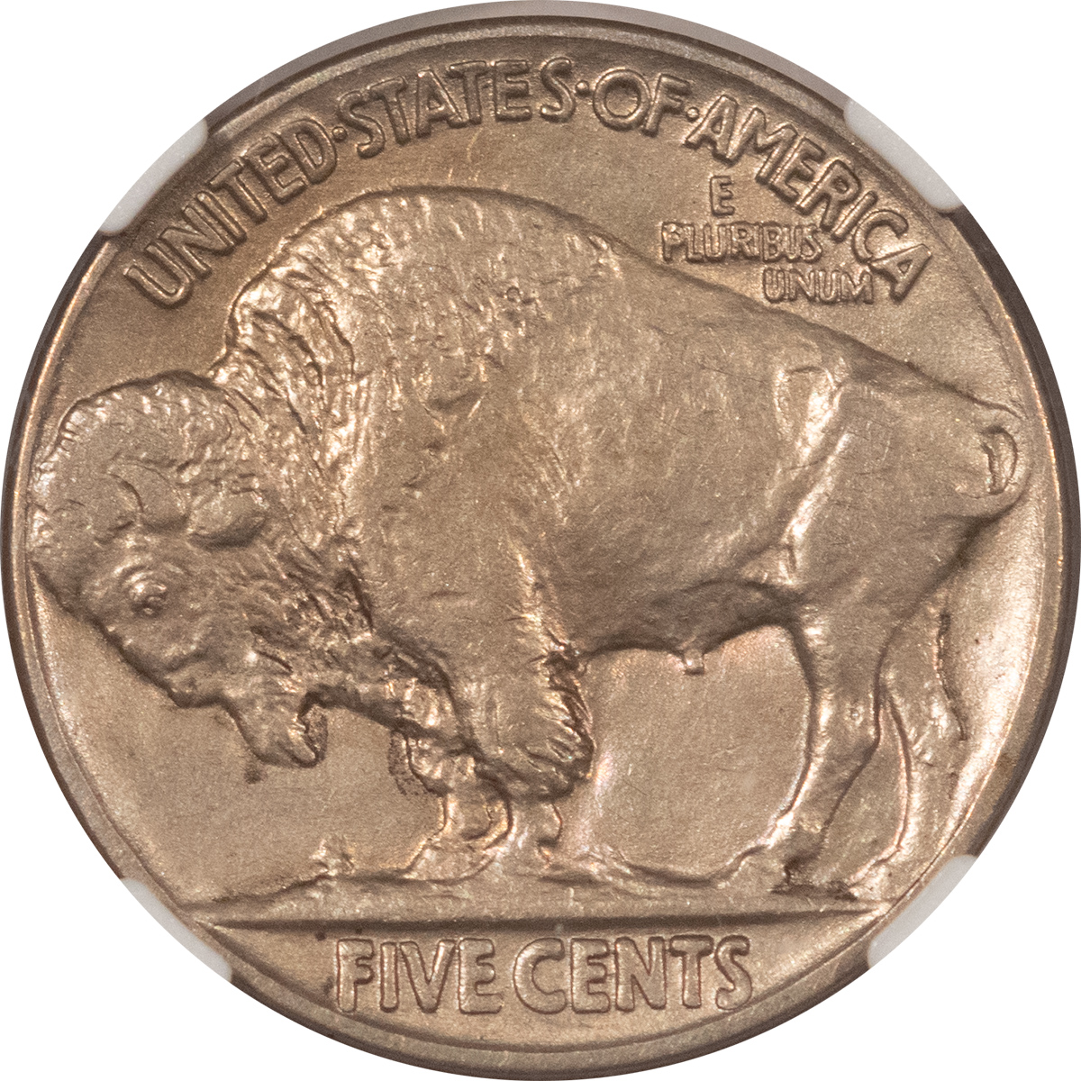 Buffalo Nickels 1925 BUFFALO NICKEL – NGC AU-58, LOOKS UNCIRCULATED! Buffalo Nickels 1925 BUFFALO NICKEL – NGC AU-58, LOOKS UNCIRCULATED!