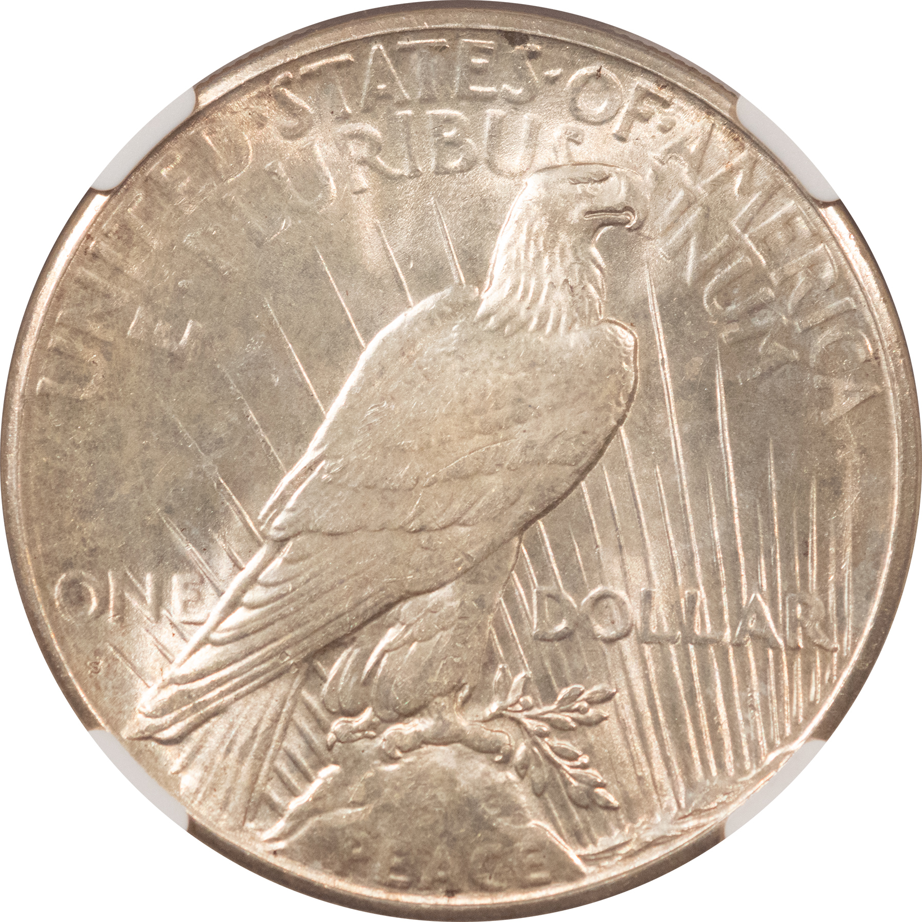 Dollars 1926-S $1 PEACE DOLLAR – NGC MS-64 Dollars 1926-S $1 PEACE DOLLAR – NGC MS-64