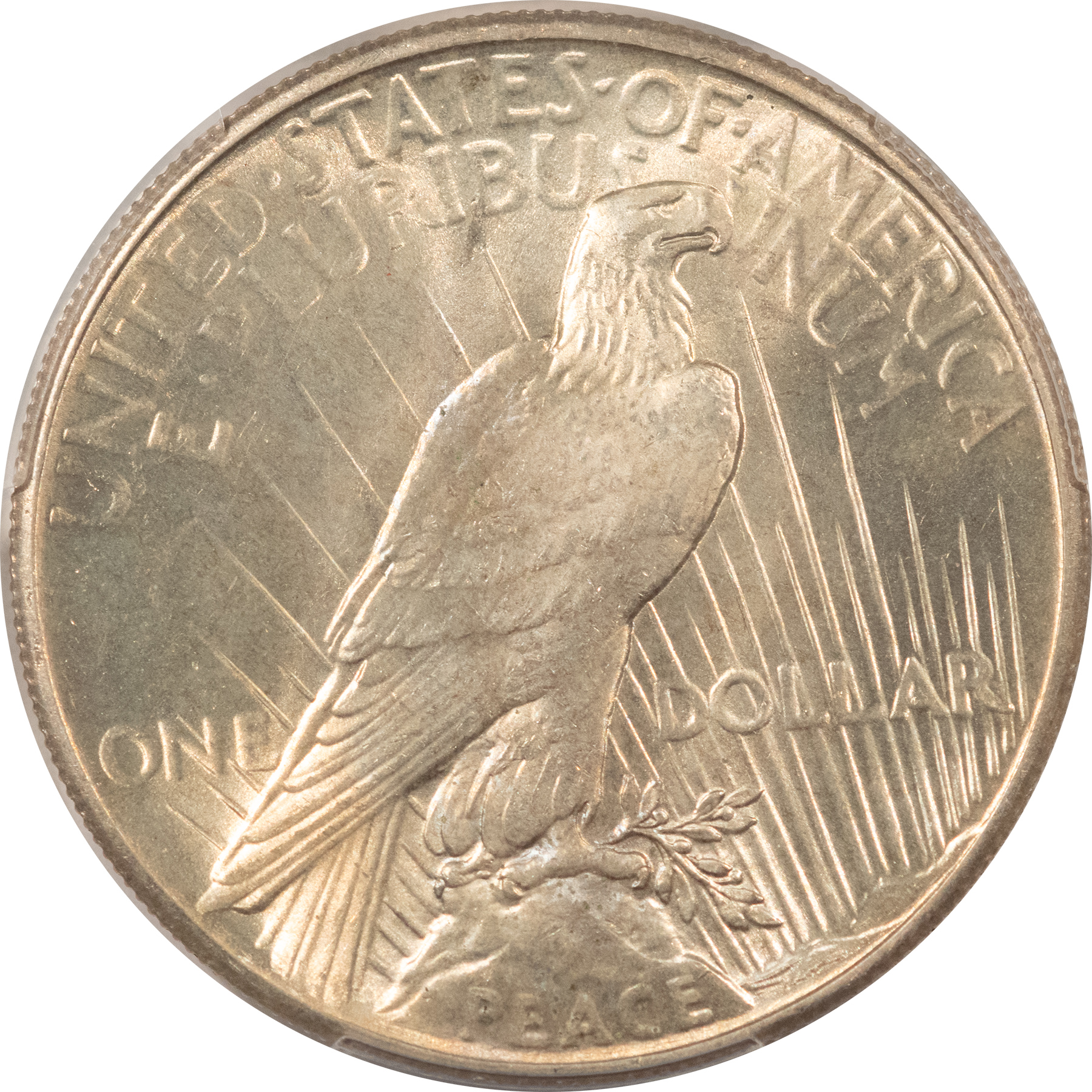Dollars 1928 $1 PEACE DOLLAR – PCGS MS-64, KEY DATE! FRESH & PREMIUM QUALITY! Dollars 1928 $1 PEACE DOLLAR – PCGS MS-64, KEY DATE! FRESH & PREMIUM QUALITY!