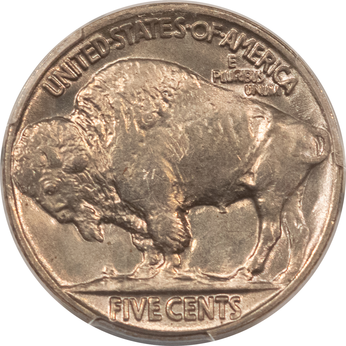 Buffalo Nickels 1928 BUFFALO NICKEL – PCGS MS-64, LUSTROUS! Buffalo Nickels 1928 BUFFALO NICKEL – PCGS MS-64, LUSTROUS!