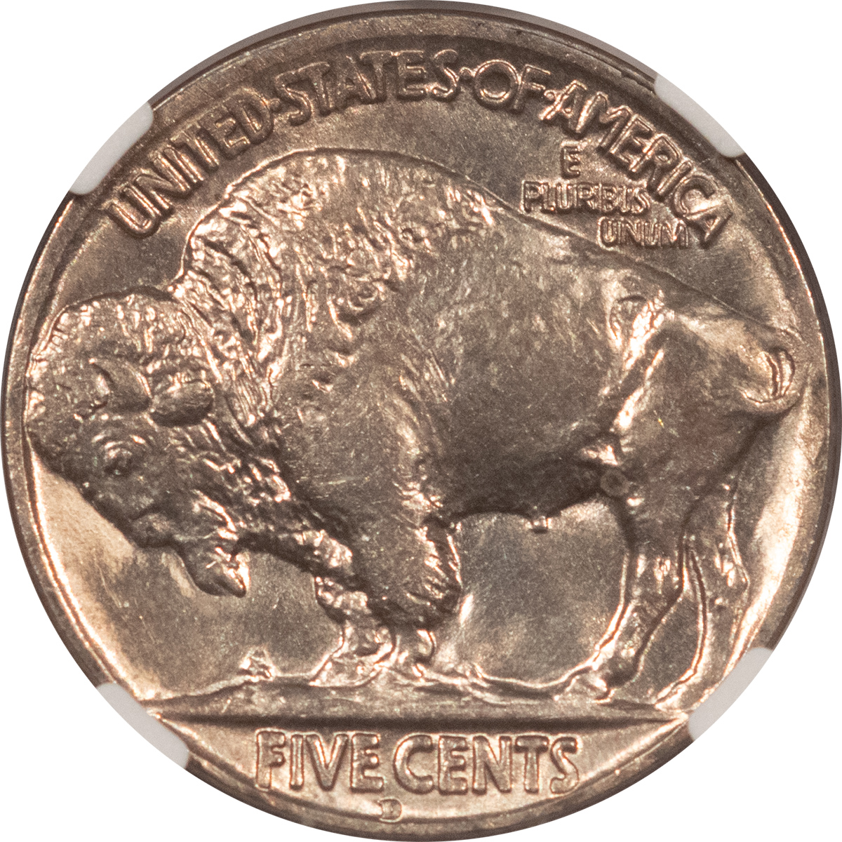 Buffalo Nickels 1928-D BUFFALO NICKEL – NGC MS-63, CHOICE! Buffalo Nickels 1928-D BUFFALO NICKEL – NGC MS-63, CHOICE!