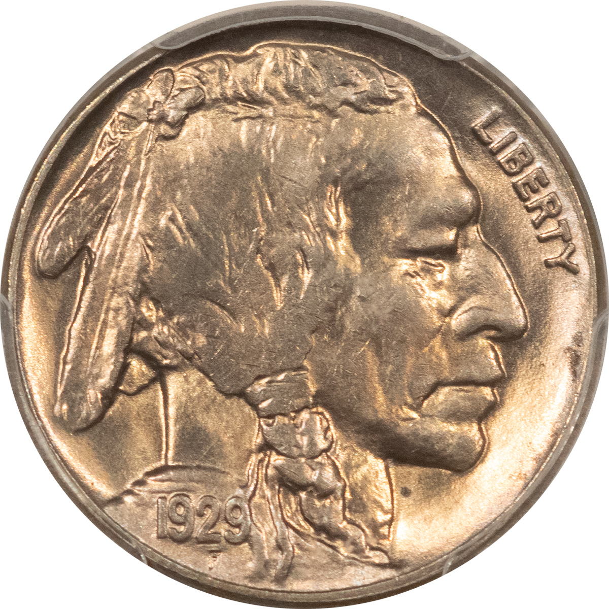 Buffalo Nickels 1929 BUFFALO NICKEL – PCGS MS-64 Buffalo Nickels 1929 BUFFALO NICKEL – PCGS MS-64