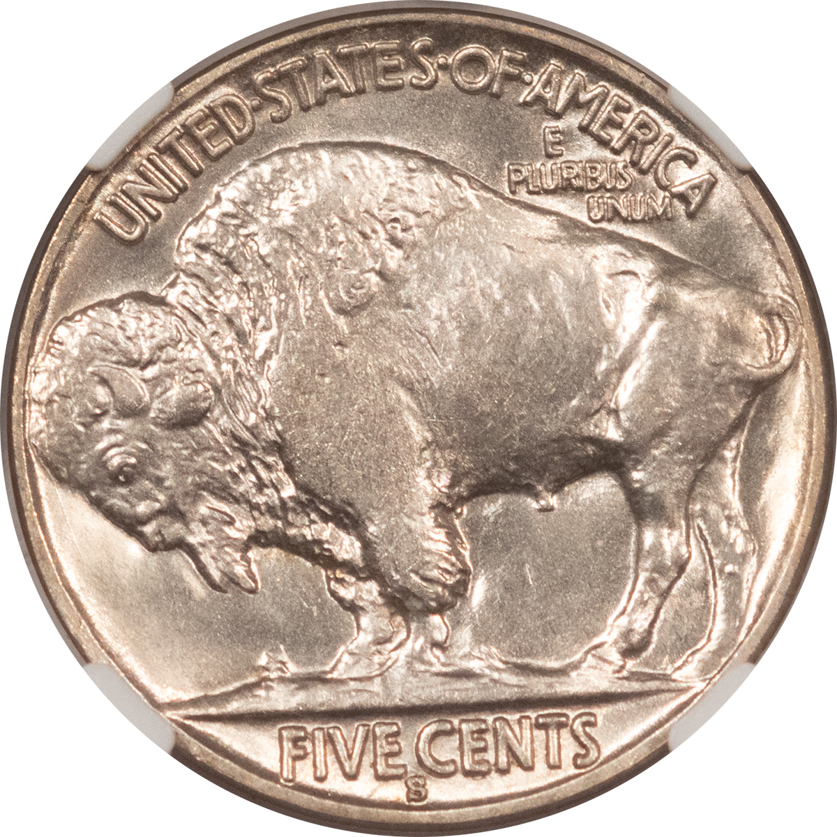 Buffalo Nickels 1931-S BUFFALO NICKEL – NGC MS-64, LUSTROUS! Buffalo Nickels 1931-S BUFFALO NICKEL – NGC MS-64, LUSTROUS!