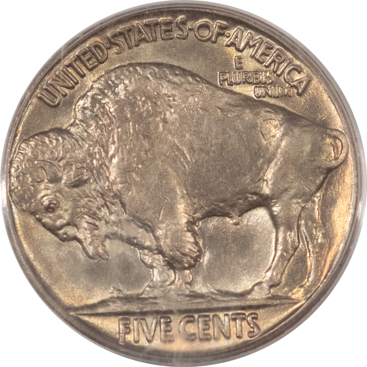 Buffalo Nickels 1934 BUFFALO NICKEL – PCGS MS-65, FRESH LUSTROUS GEM! Buffalo Nickels 1934 BUFFALO NICKEL – PCGS MS-65, FRESH LUSTROUS GEM!
